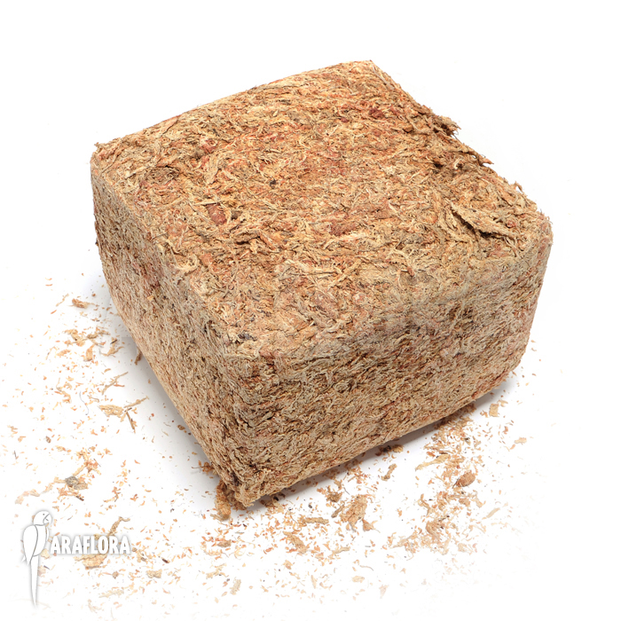 Dried Sphagnum fine ‚5kg‘