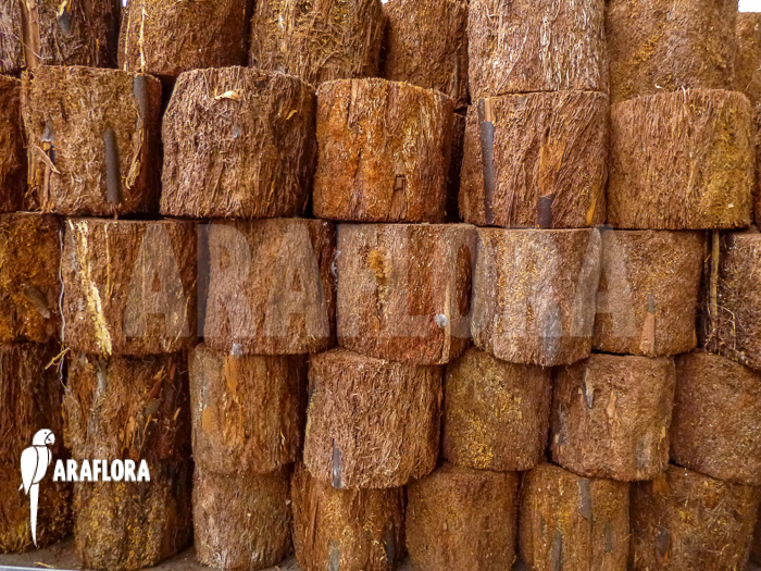 Tree fern pot xaxim ‚S‘