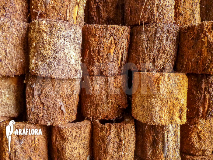 Tree fern pot xaxim ‚S‘